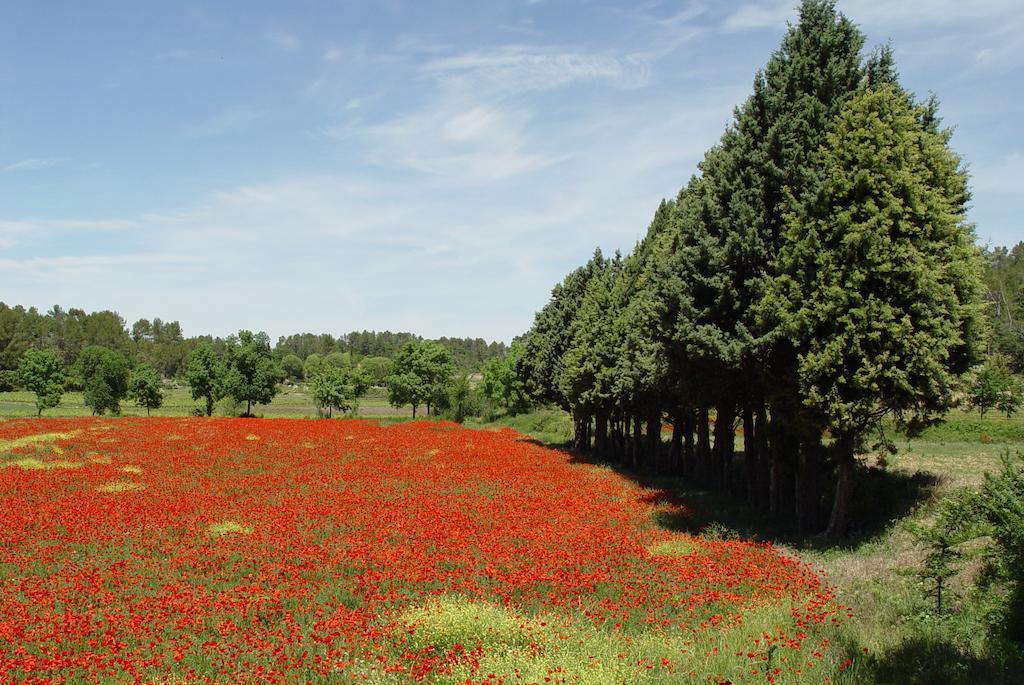 Une Campagne En Provence Hotel Bras Exterior photo