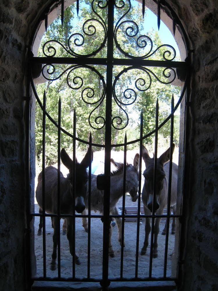 Une Campagne En Provence Hotel Bras Exterior photo